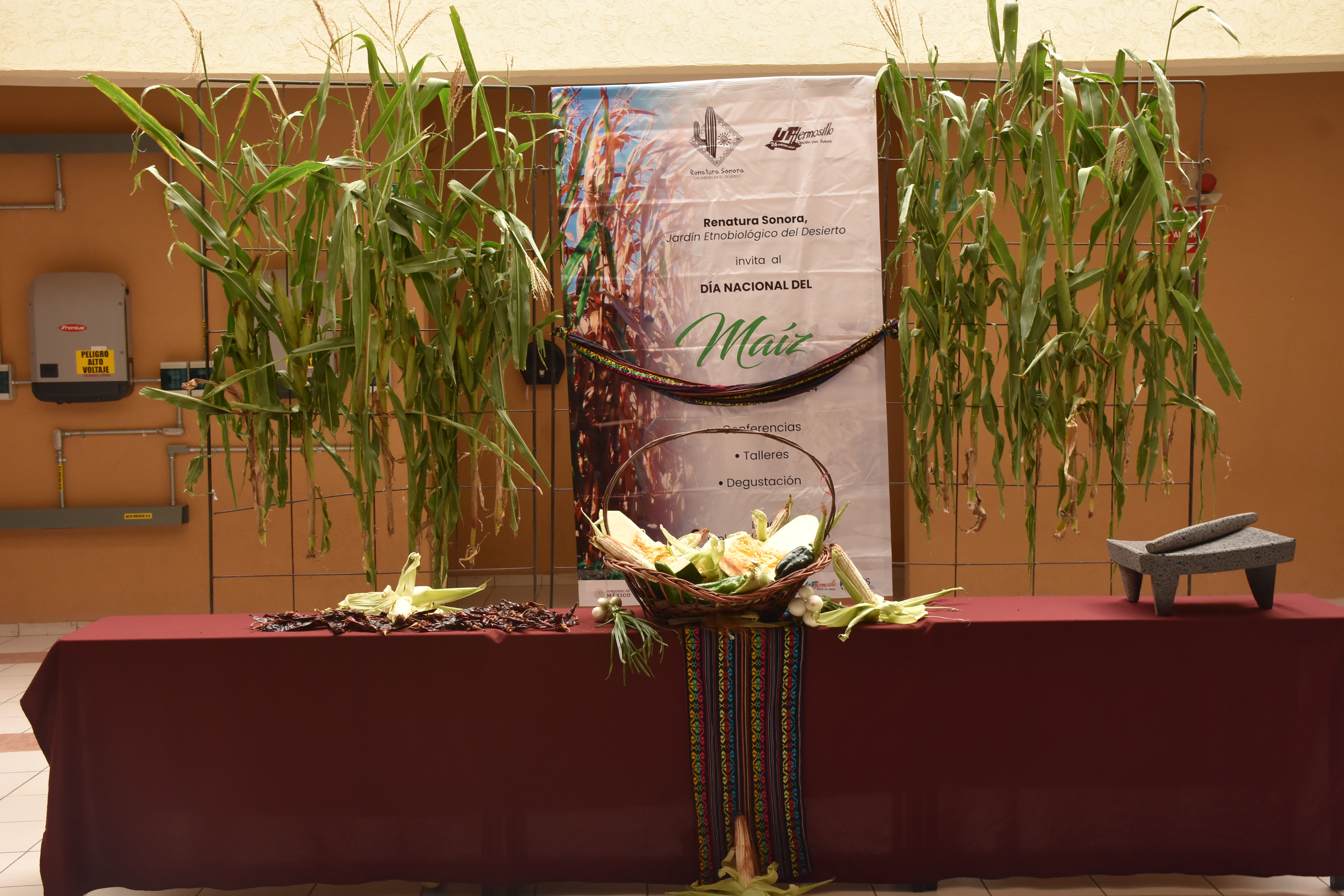 Conmemorar UTH el Día Nacional del Maíz